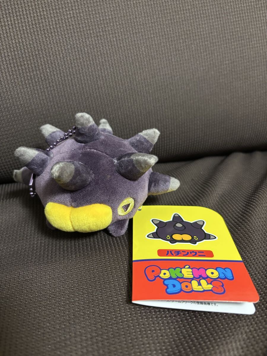 新品】ポケモンセンター限定 【ポケモンドールズ イワンコ