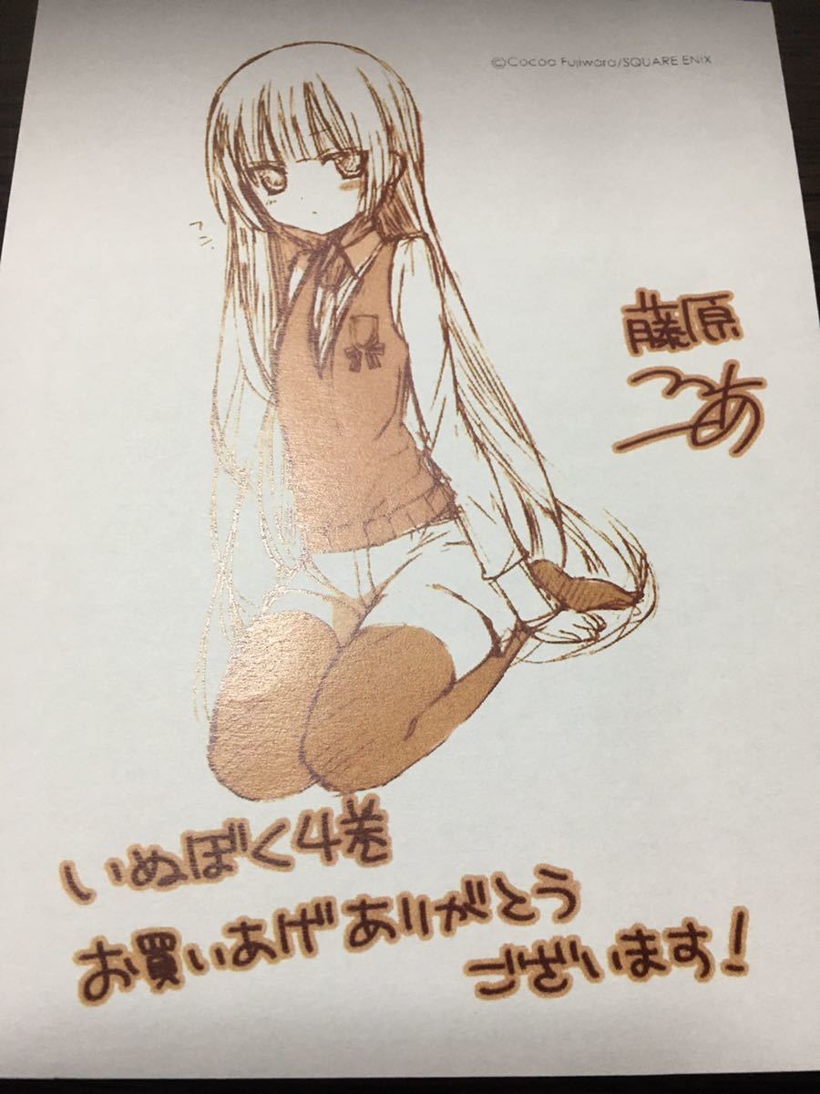 妖狐×僕SS 4巻特典 イラストペーパー 藤原ここあ 非売品 いぬぼく 凜々