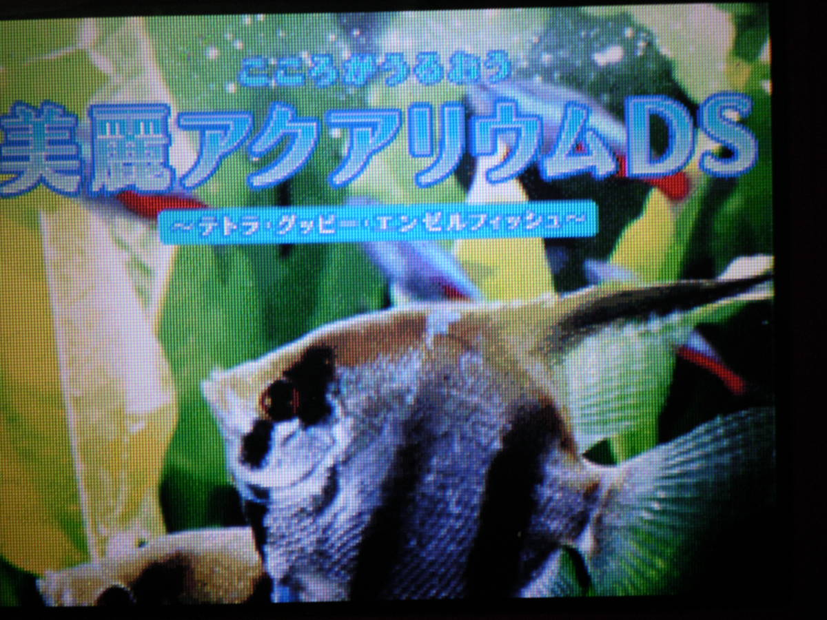 Ds こころがうるおう美麗アクアリウムds テトラ グッピー エンゼルフィッシュ クジラ イルカ ペンギン お買得2本セット 直輸入品激安