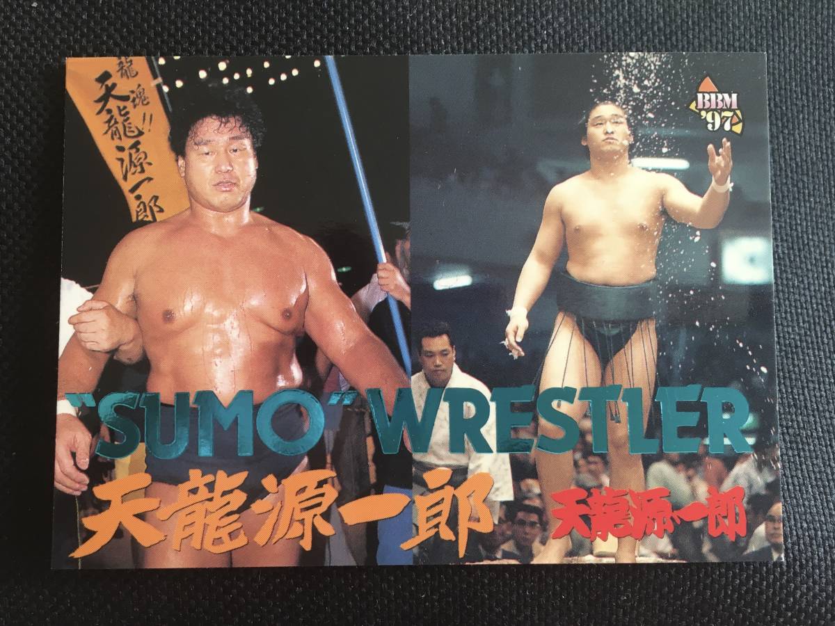 BBM プロレスカード 天龍源一郎 コスチュームカード 速め 新日本 BBM プロレスカード 天龍源一郎 コスチュームカード 速め 新日本
