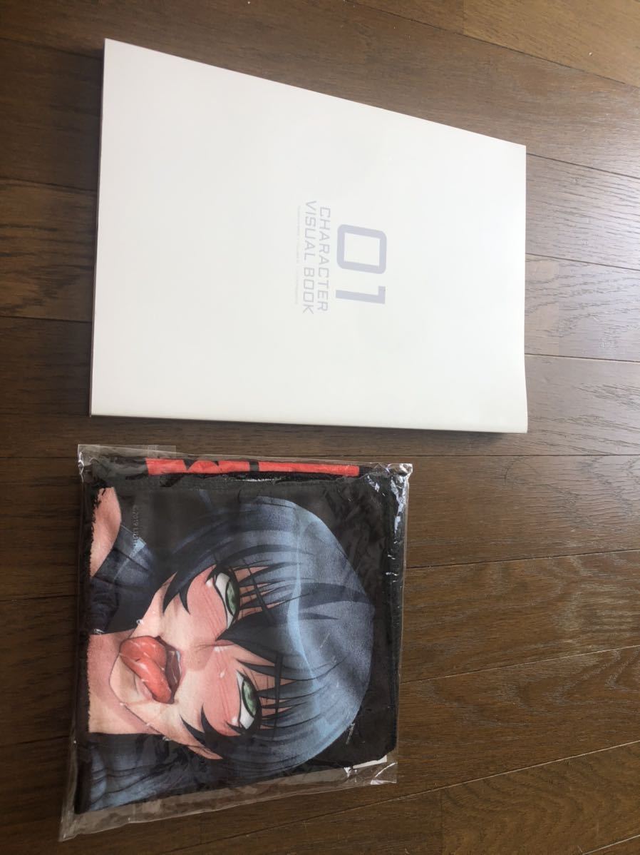 対魔忍RPGX 決戦アリーナビジュアルブックまとめ売り