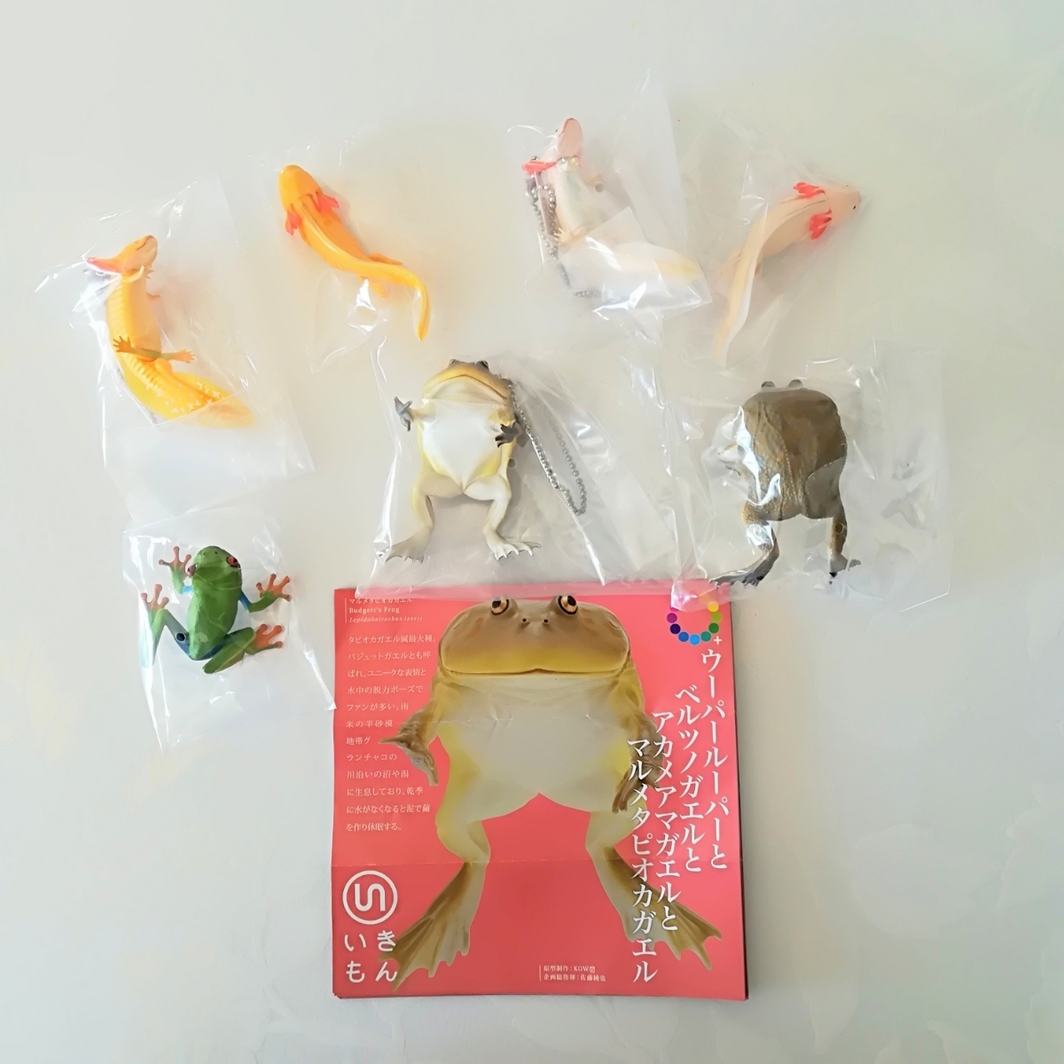 新品 ウーパールーパーとアカメアマガエルとマルメタピオカガエル ボールチェーン マグネット 7種類 ネイチャーテクニカラー ガチャ いきもん の落札情報詳細 ヤフオク落札価格情報 オークフリー スマートフォン版 新品 ウーパールーパーとアカメアマガエルとマルメタピオカガエル ボールチェーン マグネット 7種類 ネイチャーテクニカラー ガチャ いきもん の落札情報詳細 ヤフオク落札価格情報 オークフリー スマートフォン版