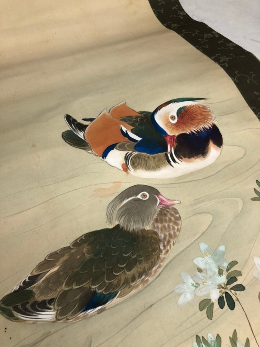 NE110328 【鴛鴦】 オシドリ 鴨 山水 日本画 作者不明 詳細不明 風景画