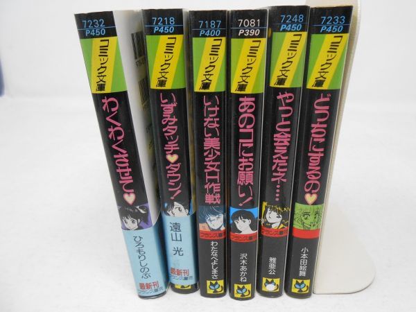 フランス書院 コミック文庫 40冊セット（A)