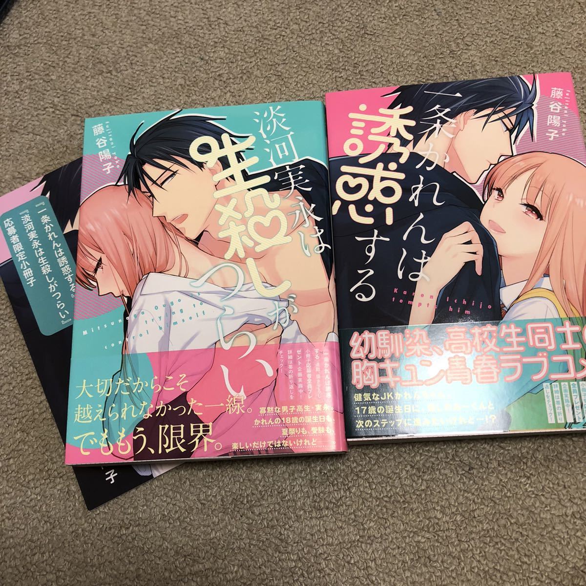 送料無料 一条かれんは誘惑する 淡河実永は生殺しがつらい 藤谷陽子 応募者限定小冊子付き の落札情報詳細 ヤフオク落札価格情報 オークフリー スマートフォン版
