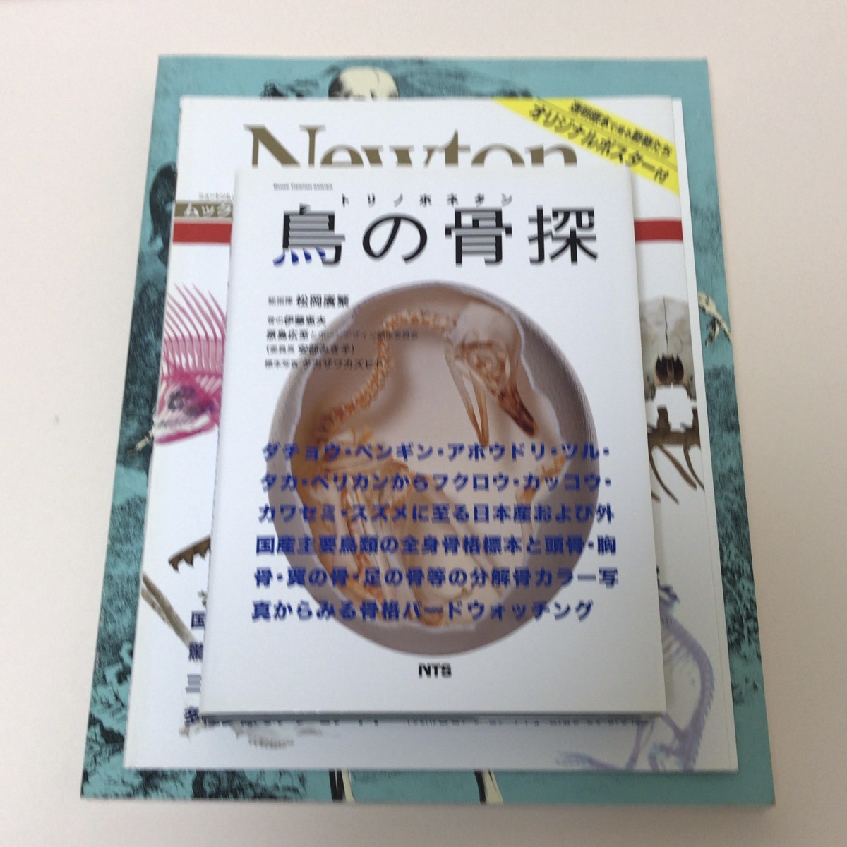 鳥の骨探 鳥の骨探 / 松岡廣繁/安部みき子 - 紀伊國屋書店ウェブストア
