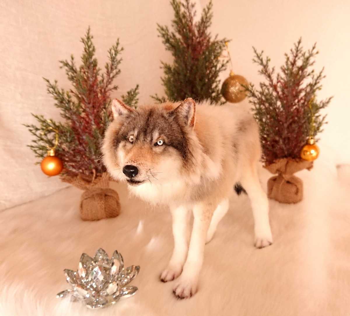 新品 りぐれぃ フェイクファー ぬいぐるみ Wolf Doll オオカミ 狼 Art Doll アートドール の落札情報詳細 ヤフオク落札価格情報 オークフリー スマートフォン版