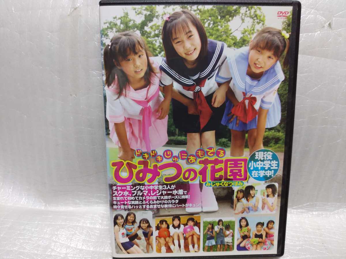 価格 Dvd ひみつの花園 Www Thewalldogs Com