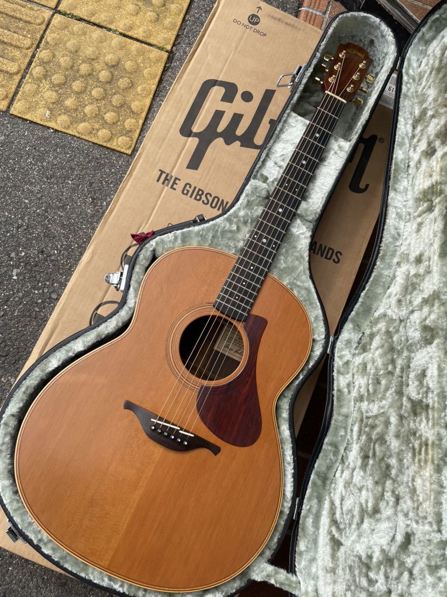 s.yairi LOWDEN 505F ローデン ヤイリの落札情報詳細 - Yahoo