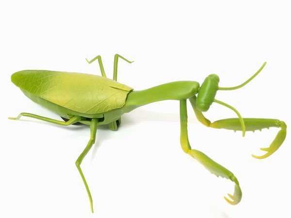 新品 カマキリ ラジコンのおもちゃ赤外線rc 昆虫 生き物 マンティス の落札情報詳細 ヤフオク落札価格情報 オークフリー スマートフォン版