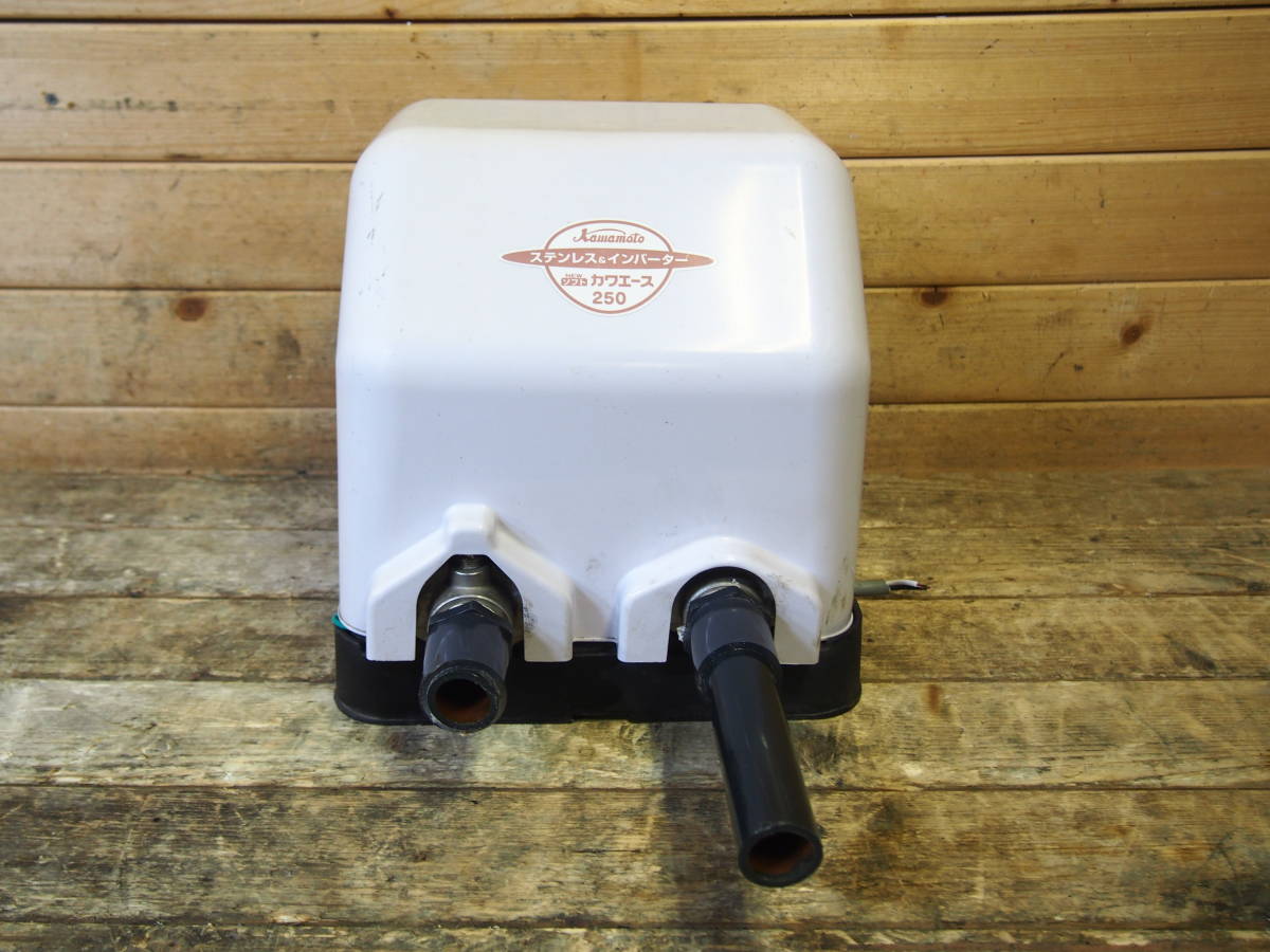 浅井戸ポンプ 川本製作所 カワエースNF2-250SK 【美品】 ジャンク品】【通電確認のみ】【店頭引取限定】川本製作所 浅井戸