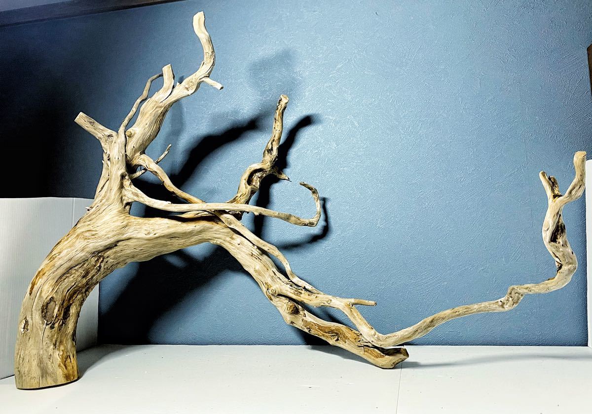 天然一点物】極上流木