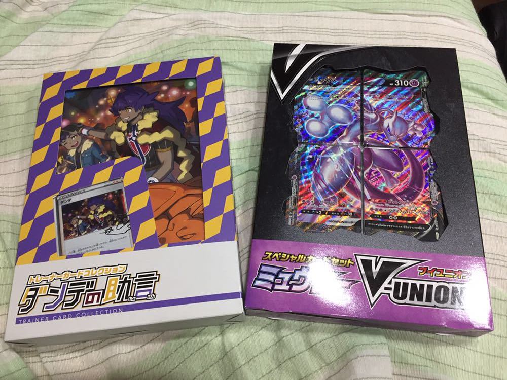 ポケモンカードゲーム トレーナーカードコレクション ダンデの助言