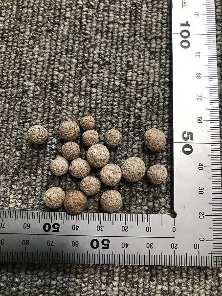 未使用 未使用最安送料込 エーハイム サブストラットプロレギュラー ろ材 2リットル Eheim 淡水 海水 海水魚 外部フィルター 2213 上部 フィルター の落札情報詳細 ヤフオク落札価格情報 オークフリー スマートフォン版