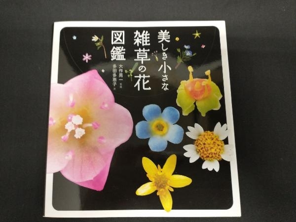 美しき小さな雑草の花図鑑 の落札情報詳細 ヤフオク落札価格情報 オークフリー スマートフォン版