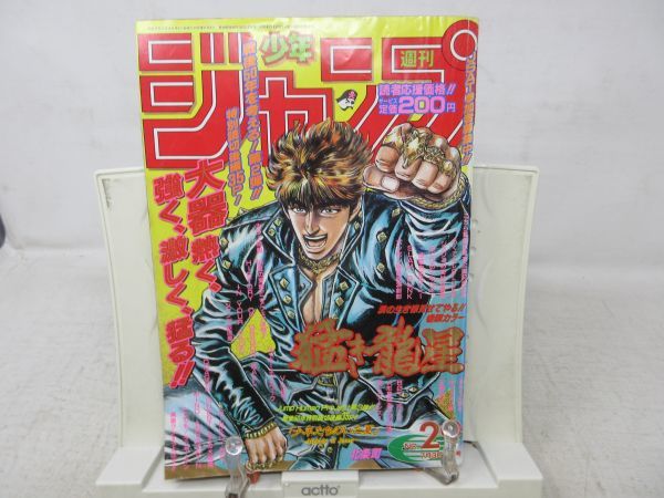 週刊少年ジャンプ 1994年 新年3-4合併号 巻頭カラー ドラゴンボール