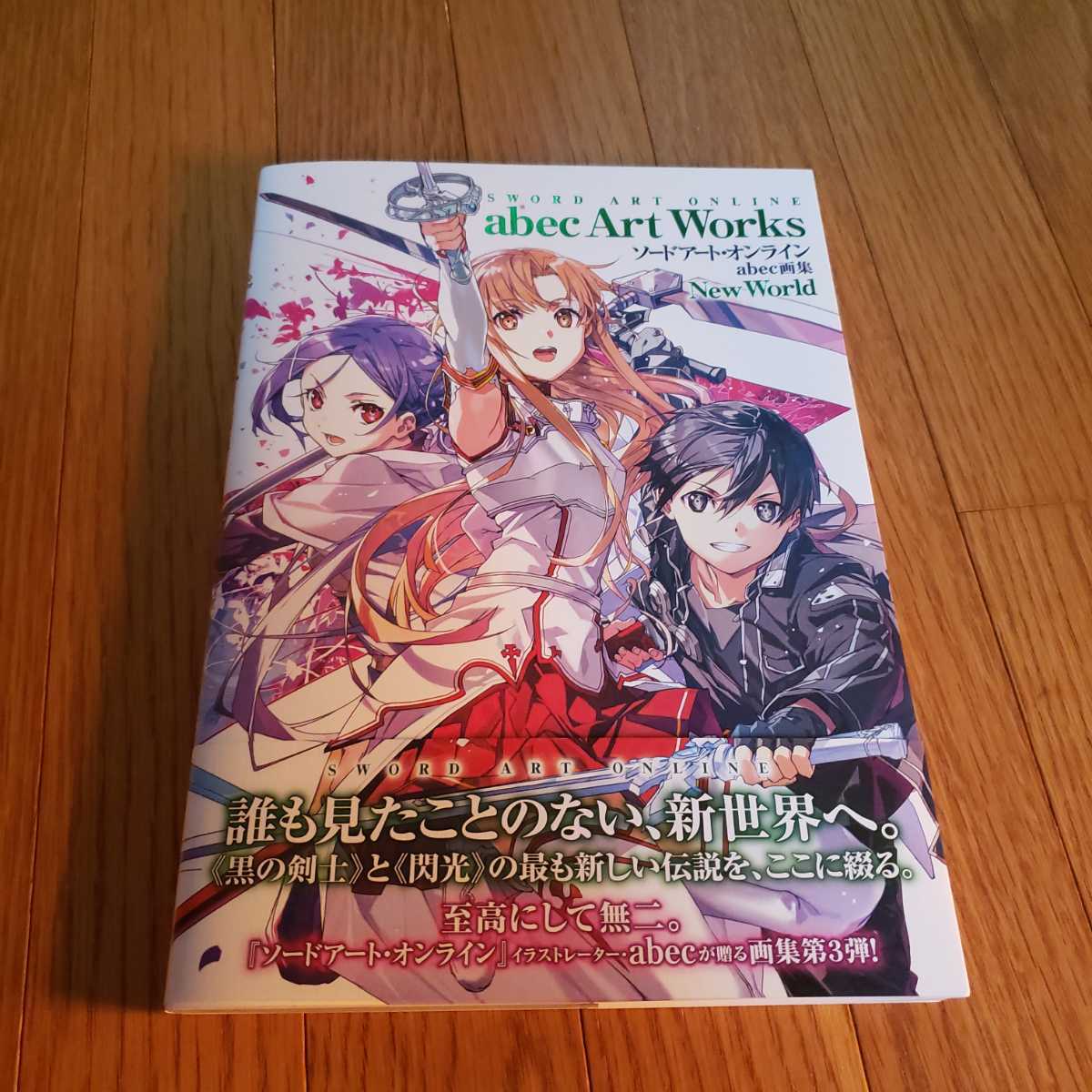 ソードアート・オンライン abec画集 New World クリアファイル付き Amazon.co.jp: SAO ソードアートオンライン abec 画集 New World
