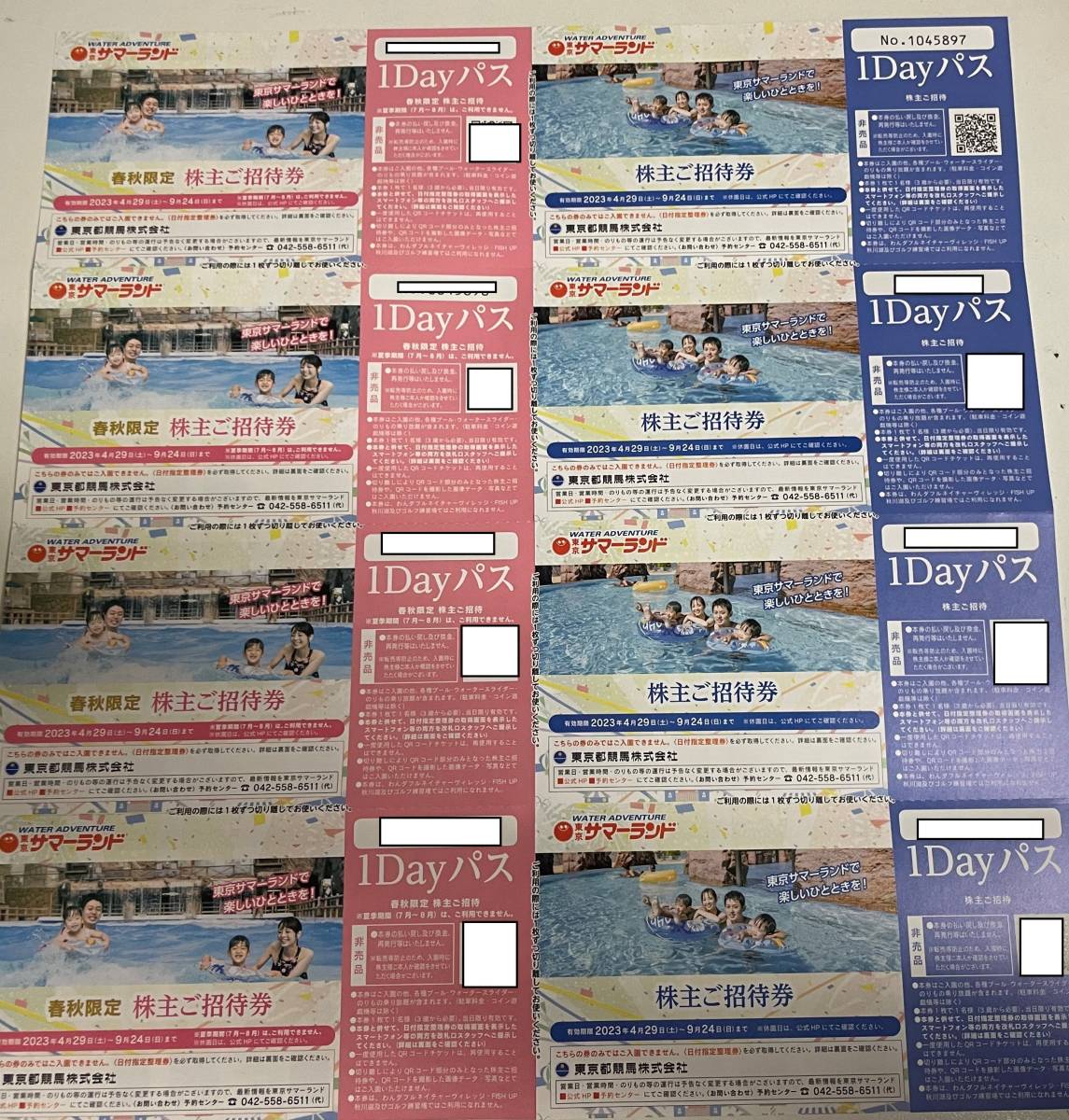 東京サマーランド 株主優待 1デイパス5 【公式通販】