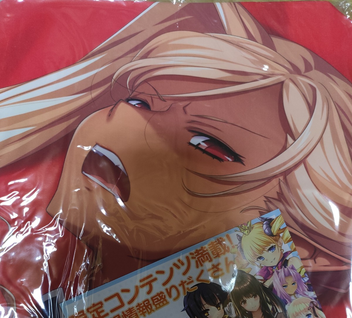 黒獣【淫辱花嫁シリーズ】」アリシア抱き枕カバー