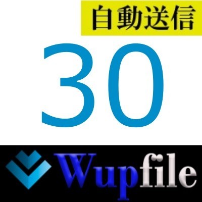 【未使用】【自動送信】Wupfile 公式プレミアムクーポン 30日間 通常1分程で自動送信しますの落札情報詳細 - ヤフオク落札価格検索 ...