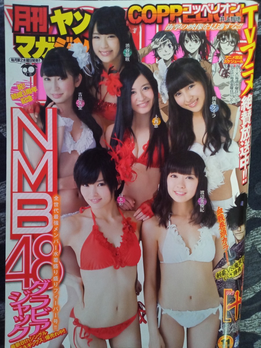 ヤングマガジン 2013年19号 渡辺美優紀 表紙 やや傷や汚れあり】月刊ヤングマガジン2013No．11 11月1日号増刊山本