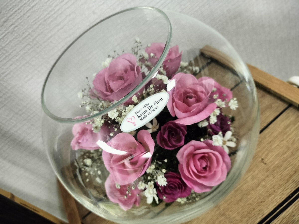 レンデフロール Reine de fleur お花 アレンジフラワー 胡蝶蘭