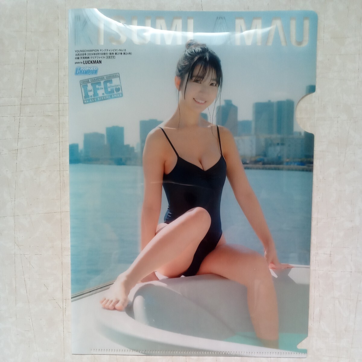 壇蜜 チェキ 水着 セクシー