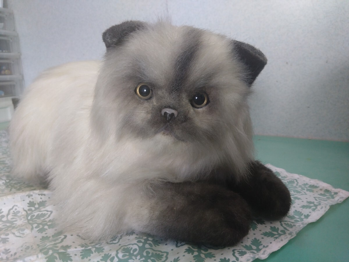 中古】即決☆レア オオイケ ペルシャ猫 ぬいぐるみ ボビー 白い猫 OIKE
