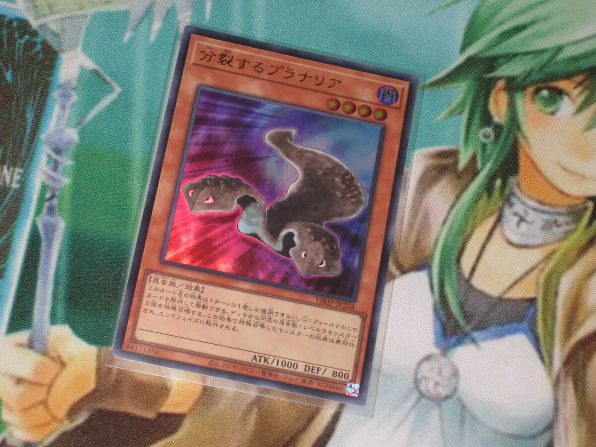 Vジャンプ 遊戯王 付録 遊戯王OCG情報]Vジャンプ7月号付属