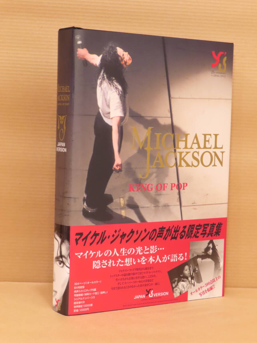 マイケルジャクソン キング・オブ・ポップ 1000ピースパズル Michael