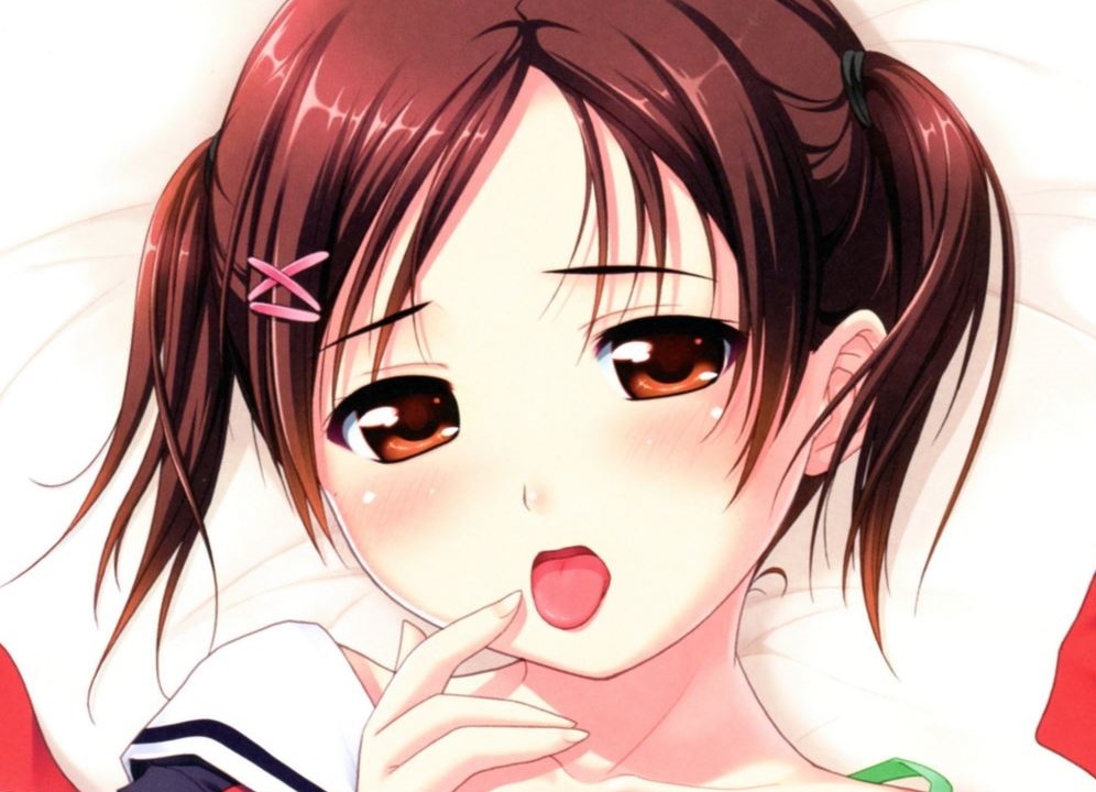 正規品新品 たぬきそふと 姪少女 倉山沙耶抱き枕カバー 野々原幹