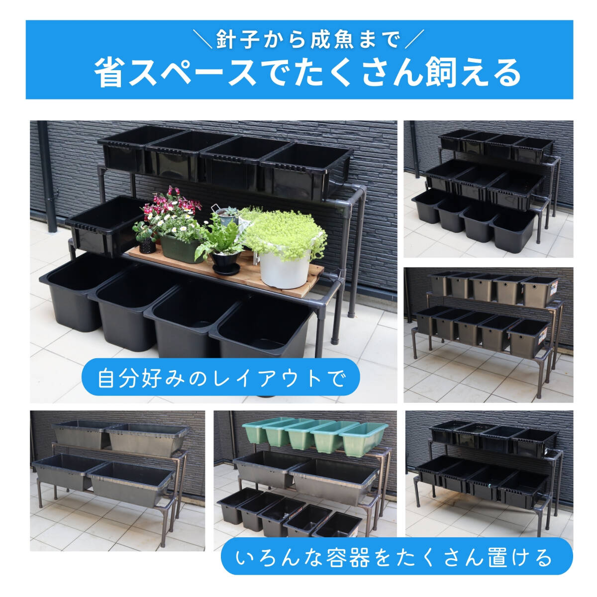 メダカ飼育ラック　2段12個置 NVBOX 13 専用設計 メダケース メダカ 飼育ラック 金属製2段12個置き NV BOX 13 専用設計 屋外