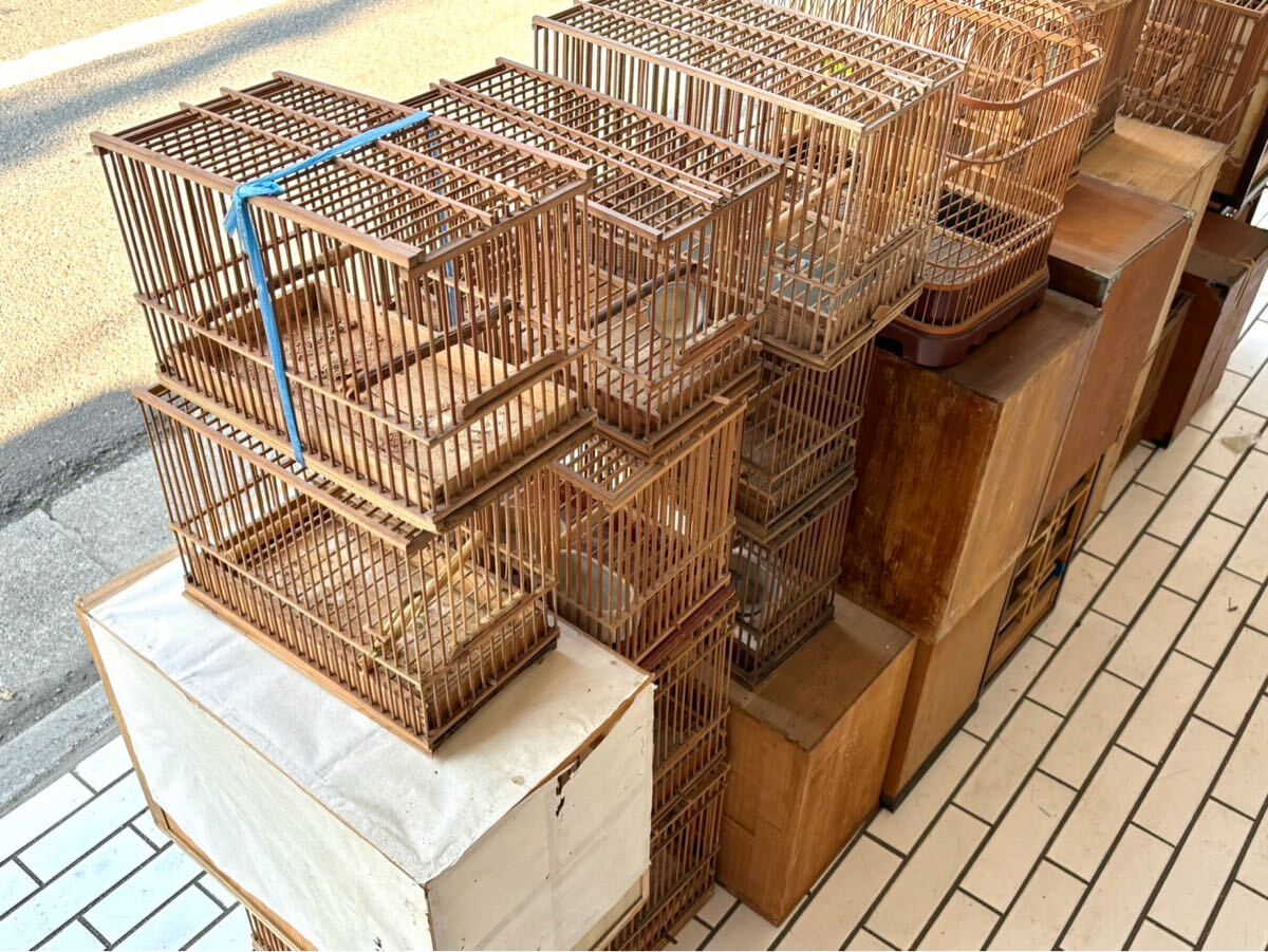 メジロ籠 竹細工 鳥籠 6セット 木製箱付 メジロかご 竹細工 鳥籠 6