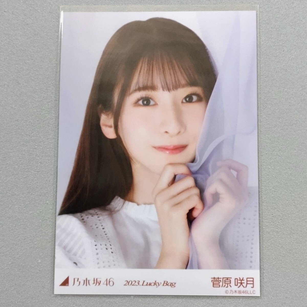 中古】乃木坂46 西野七瀬 生写真 2015 Lucky Bag 福袋 コンプ