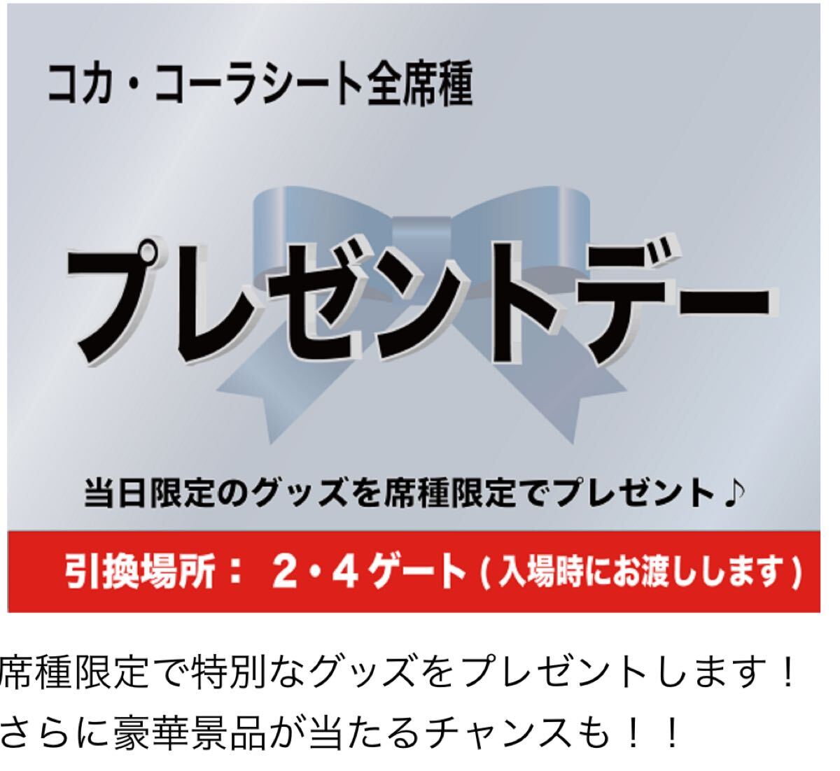 NIKE ナイキ キャッチャー プロテクター 実使用 支給 防具 細川