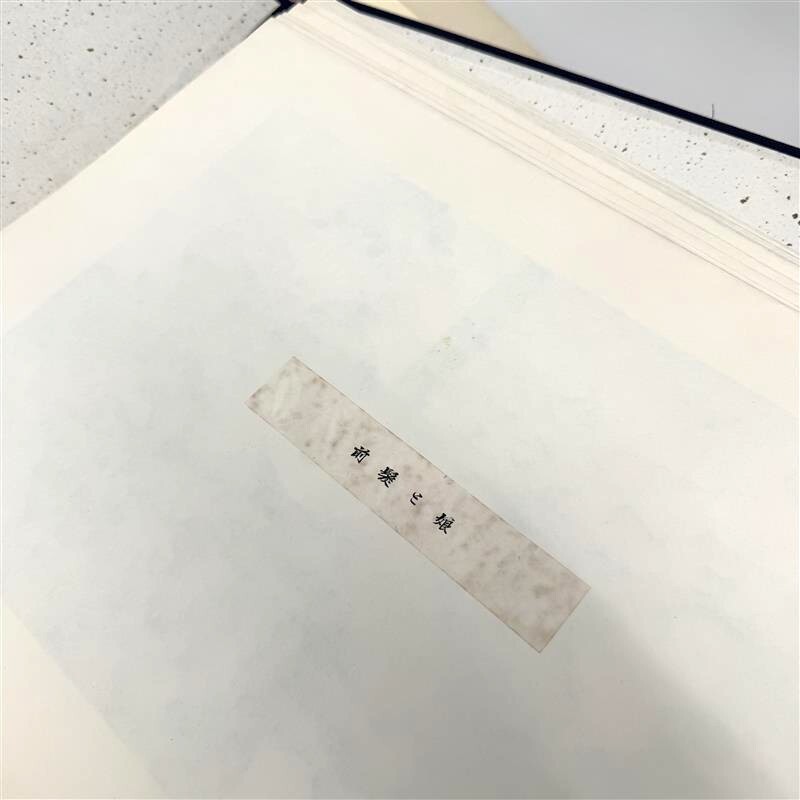 艶画帖」 仮題 12図 明治頃写 1冊｜和本 古典籍 春画 艶本