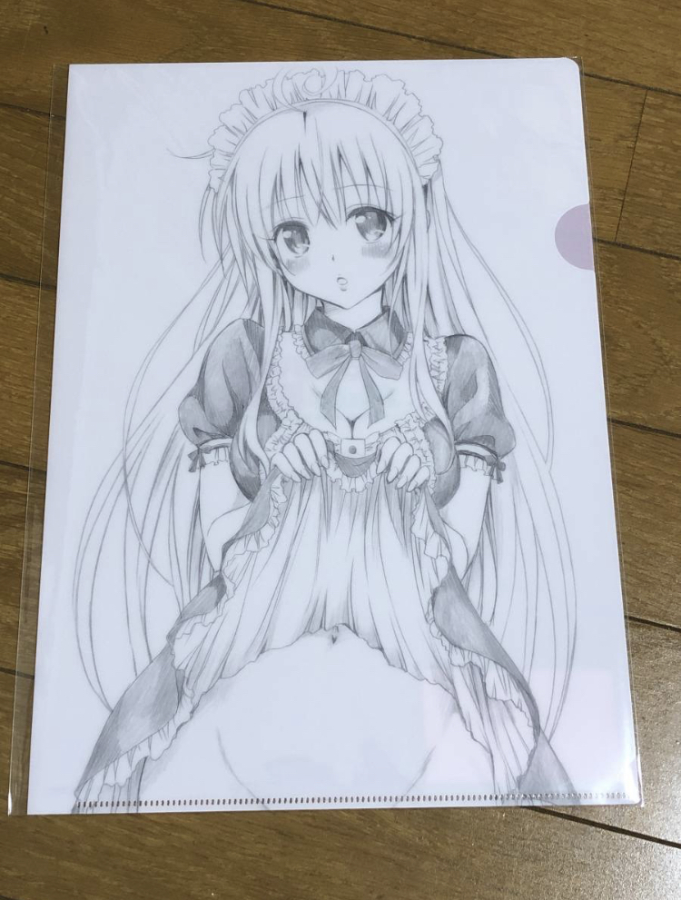 クリアファイル ToLOVEる ダークネス 古手川唯 水着の落札情報詳細