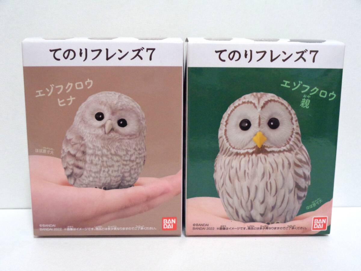 やまね工房 エゾフクロウ ぬいぐるみ フクロウ の落札情報詳細 - Yahoo