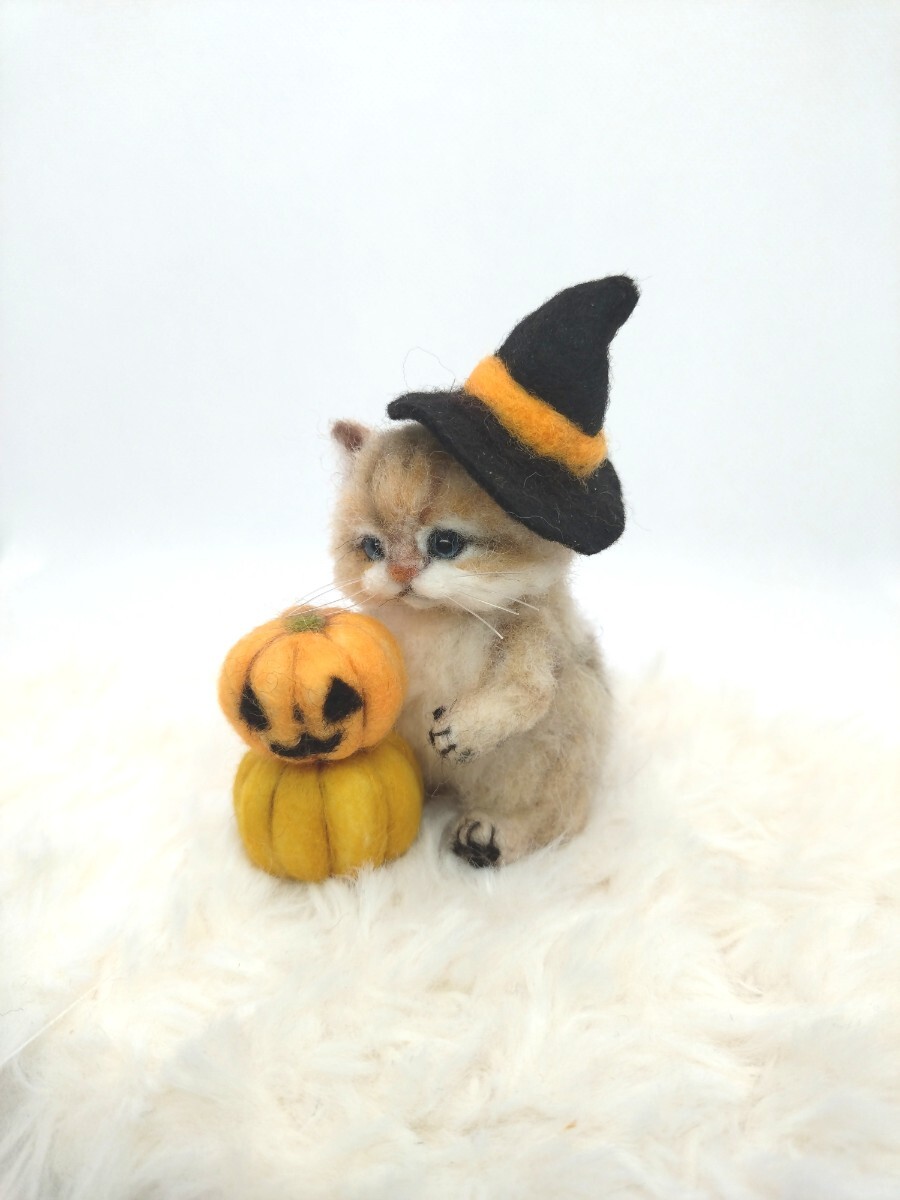 *hirapie*　羊毛フェルト　魔女っ子猫＆パンプキン　ハロウィン　チンチラゴールデン　手のひらサイズ　頭・手・脚・しっぽ可動　　の2番目の画像