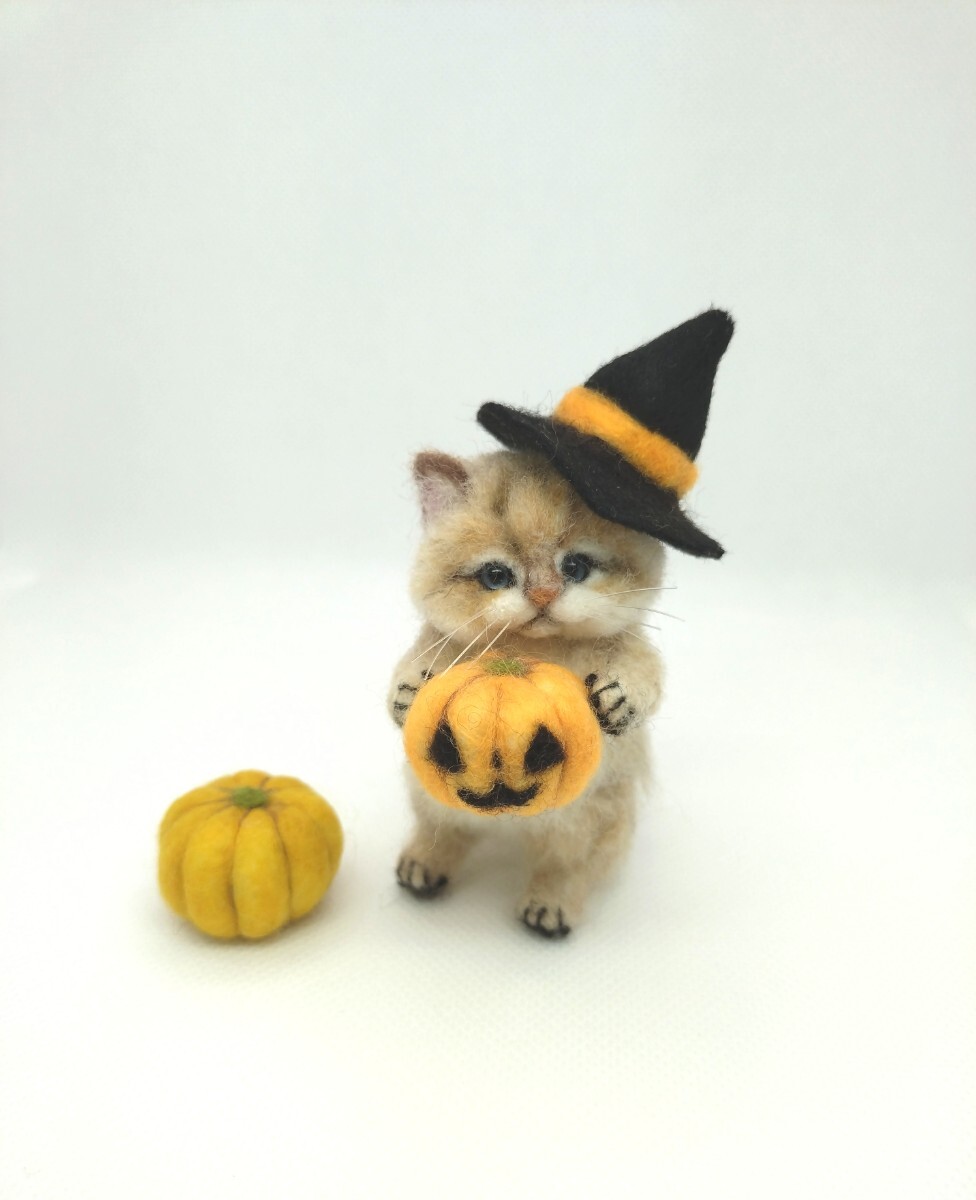*hirapie*　羊毛フェルト　魔女っ子猫＆パンプキン　ハロウィン　チンチラゴールデン　手のひらサイズ　頭・手・脚・しっぽ可動　　の3番目の画像