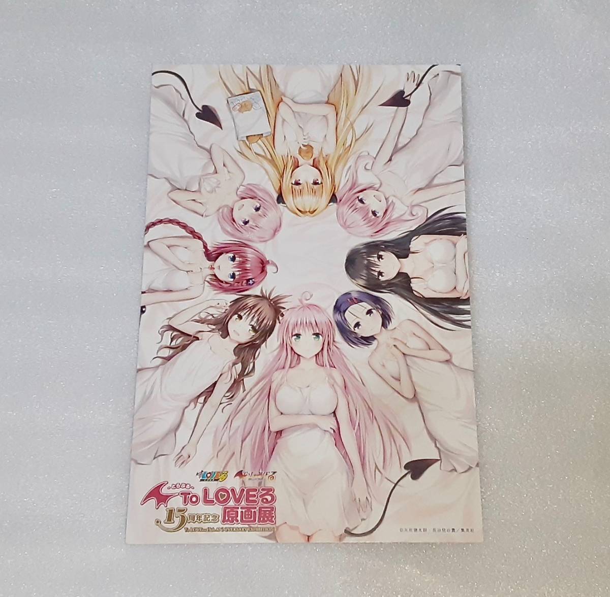 ToLOVEる 原画展 ポストカードブック B Toloveる とらぶる 15周年記念