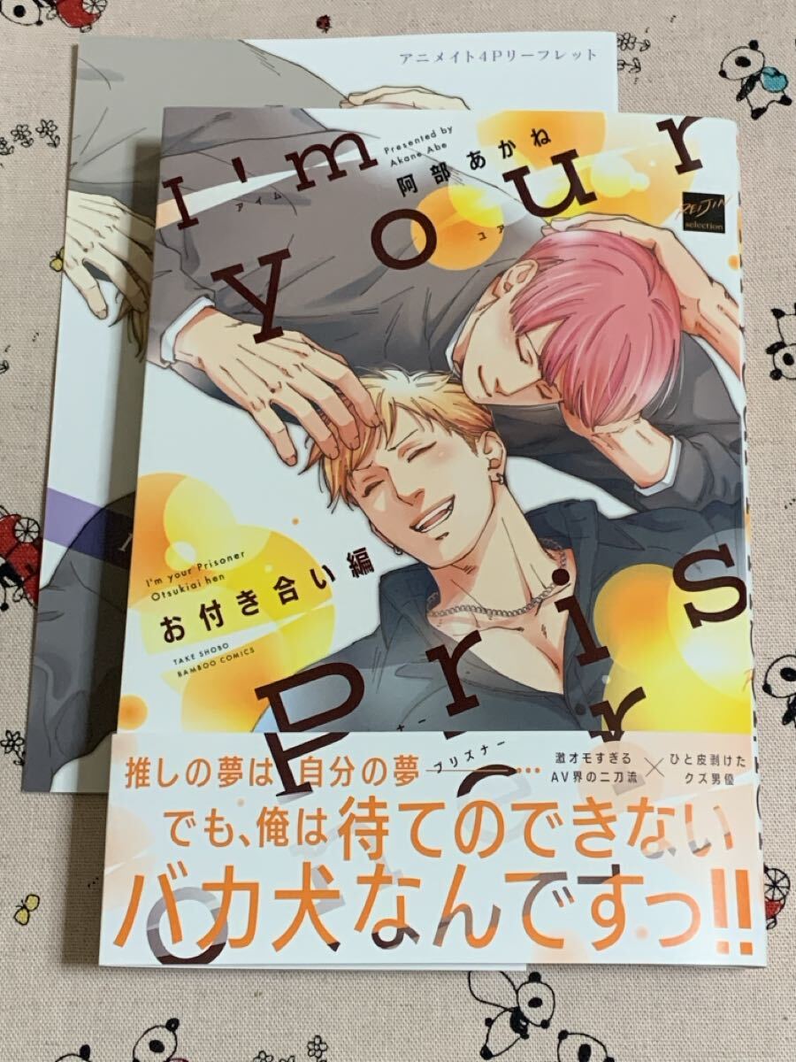 6月新刊◇BL◇セックスするよりはずかしいこと 鯛野ニッケ◇アニメイト