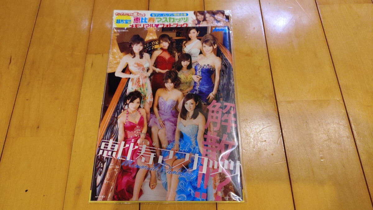 ヤングアニマル 2011年No.9 恵比寿マスカッツ 篠崎愛 吉木りさ 西田