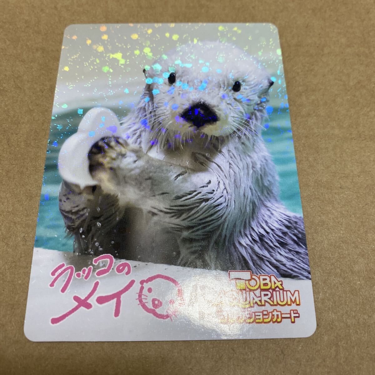 鳥羽水族館 55周年 記念メダル 31mm 茶平工業の落札情報詳細 - Yahoo 