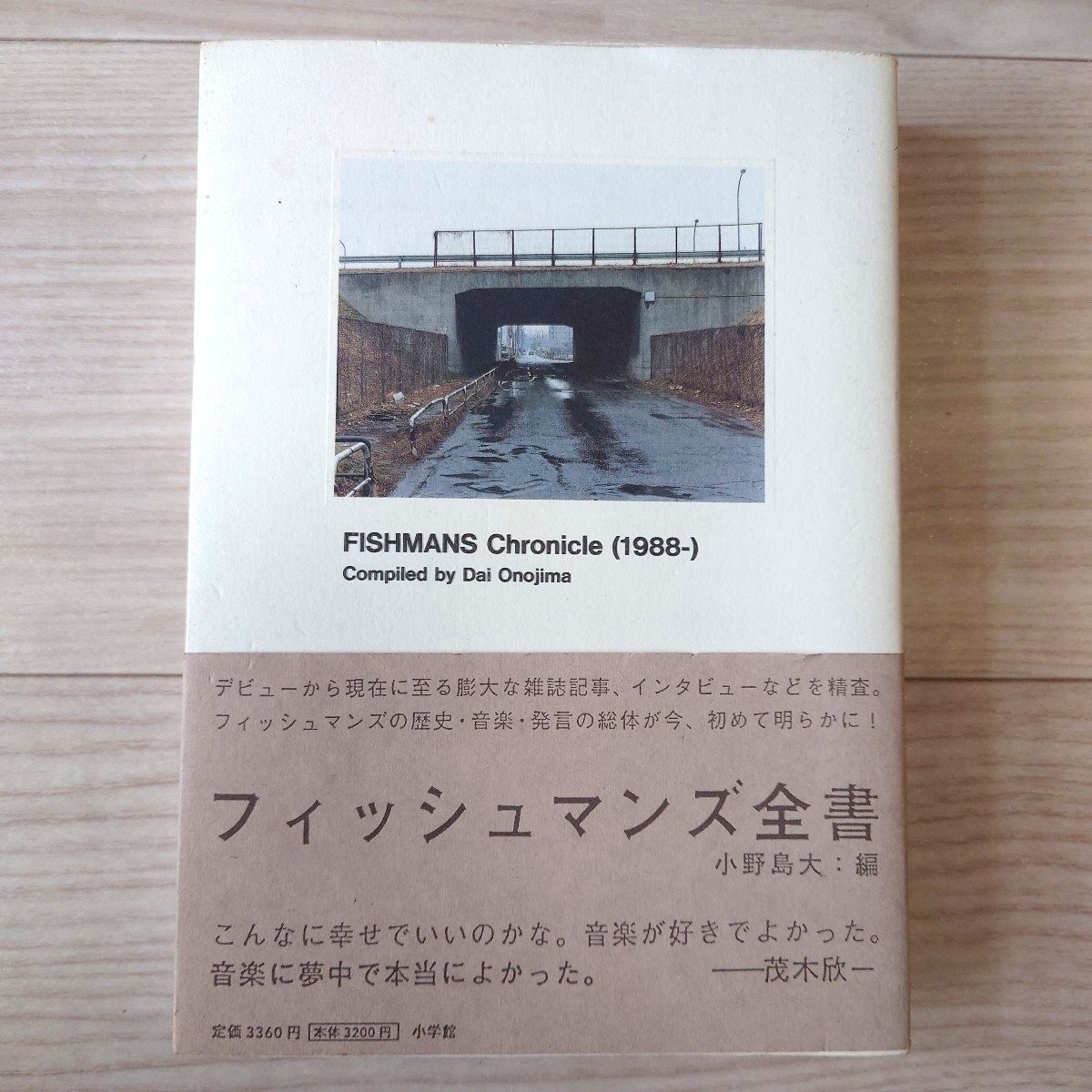 FISHMANS フィッシュマンズ ロングシーズン LONG SEASON 販促ポスター
