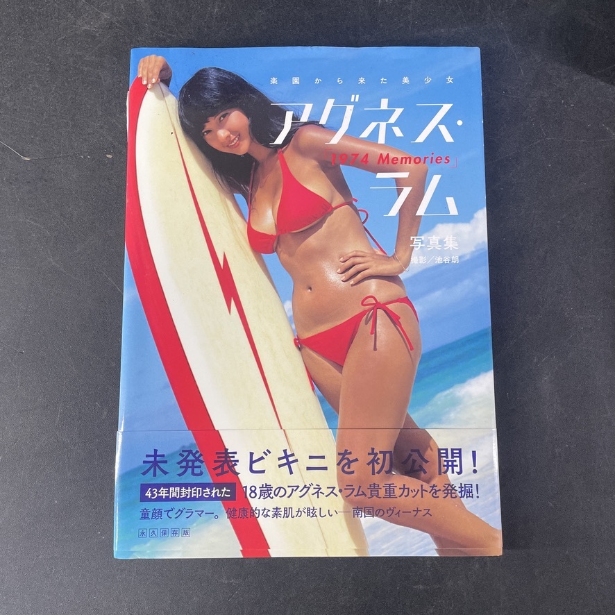 お宝☆アグネス・ラム☆水着グラビア☆10P☆切り抜きの落札情報詳細