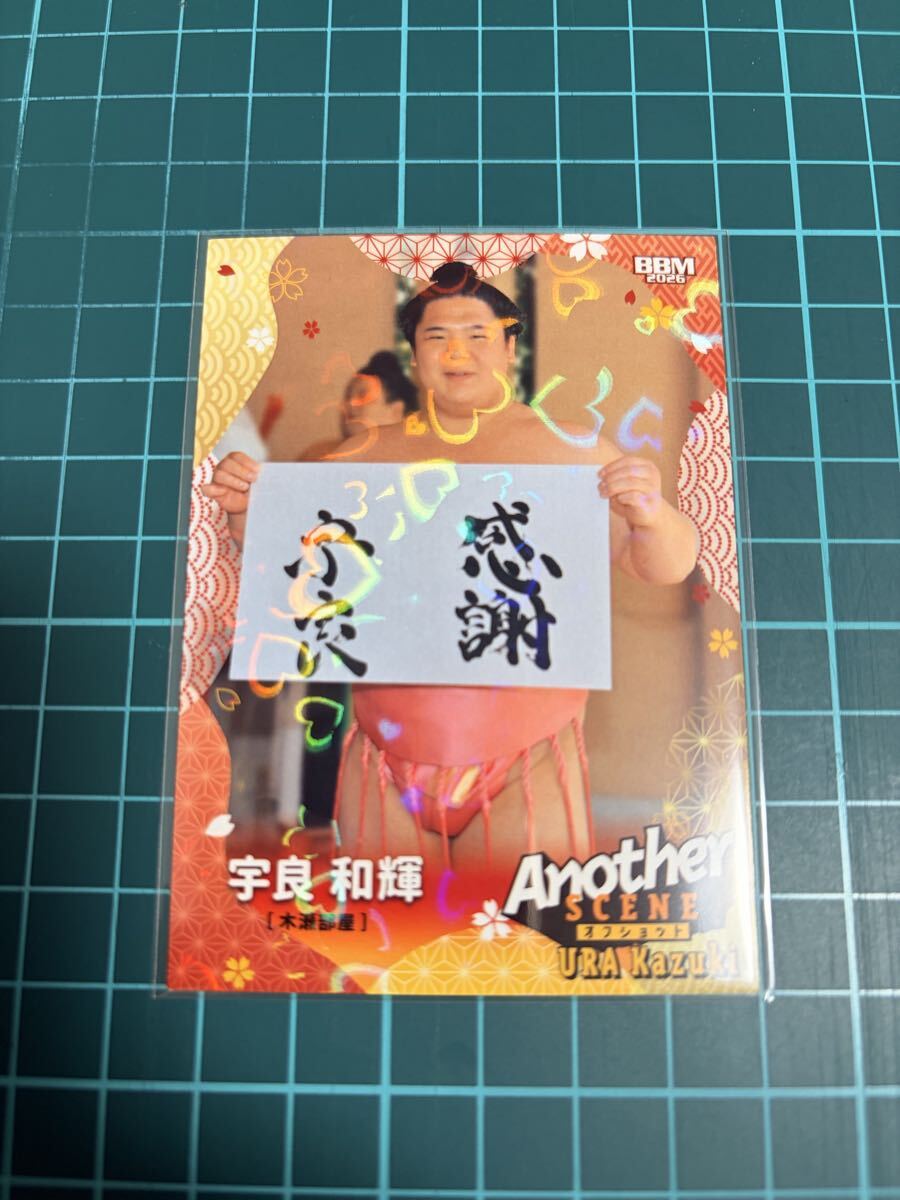 未使用】橘メアリー 写真集 蜜ぱら 購入特典 直筆サイン入り オフ