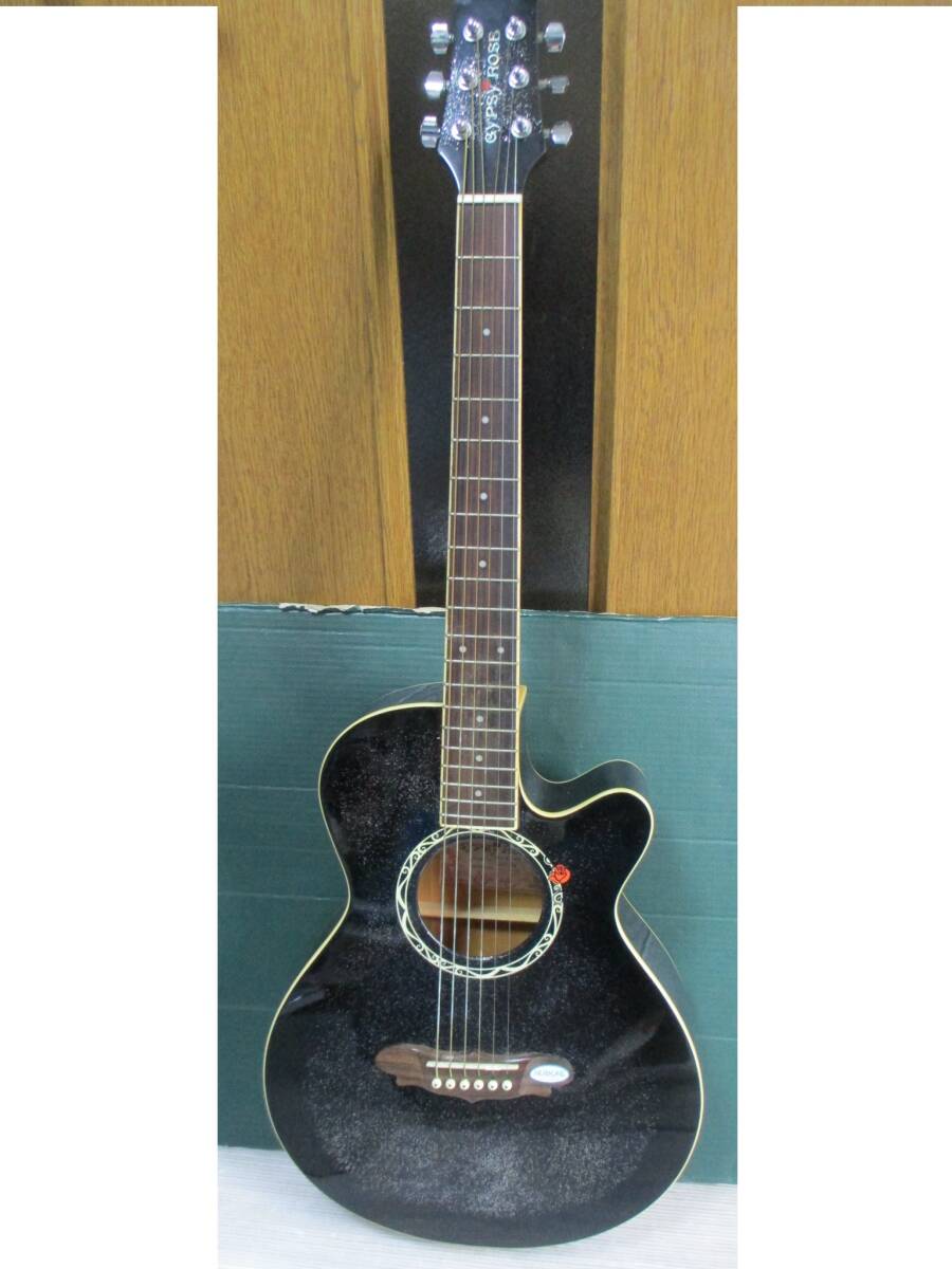 1025-11 GYPSY ROSE ジプシーローズ パープル ラメ アコースティック