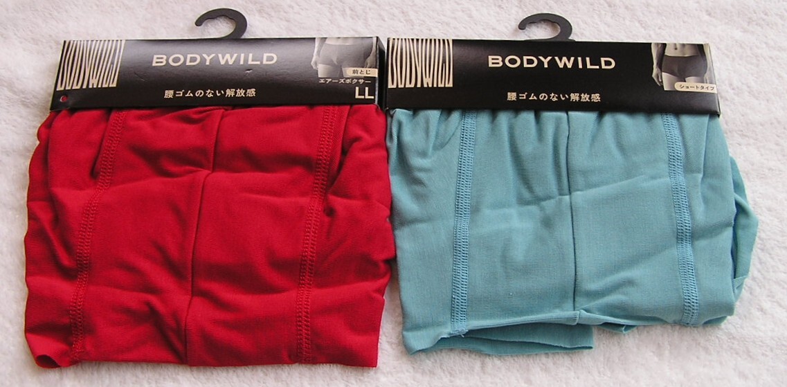 新品】超レア 桐谷美玲 グンゼ 下着 ポスター (GUNZE) BODY WILD B2 未