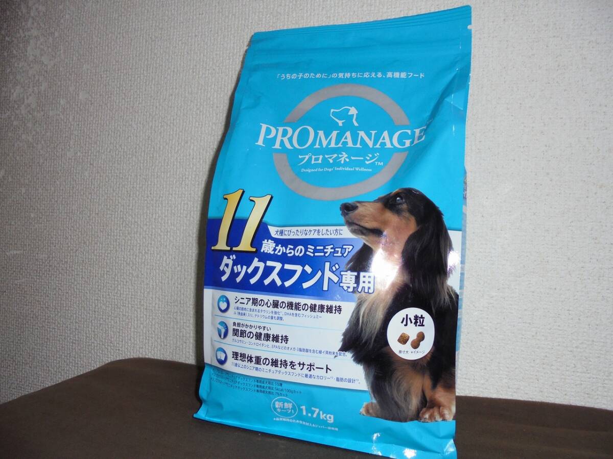 私の愛する犬たち [型紙なし] 人気の小型犬7種のぬいぐるみ作品集